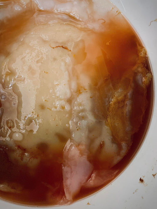 SCOBY